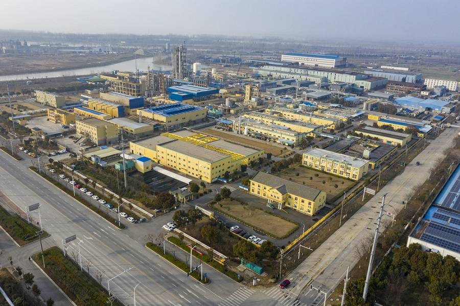 太原苗蓝昆虫生态研究有限公司药业首次公开发行股票并上市辅导备案信息公示